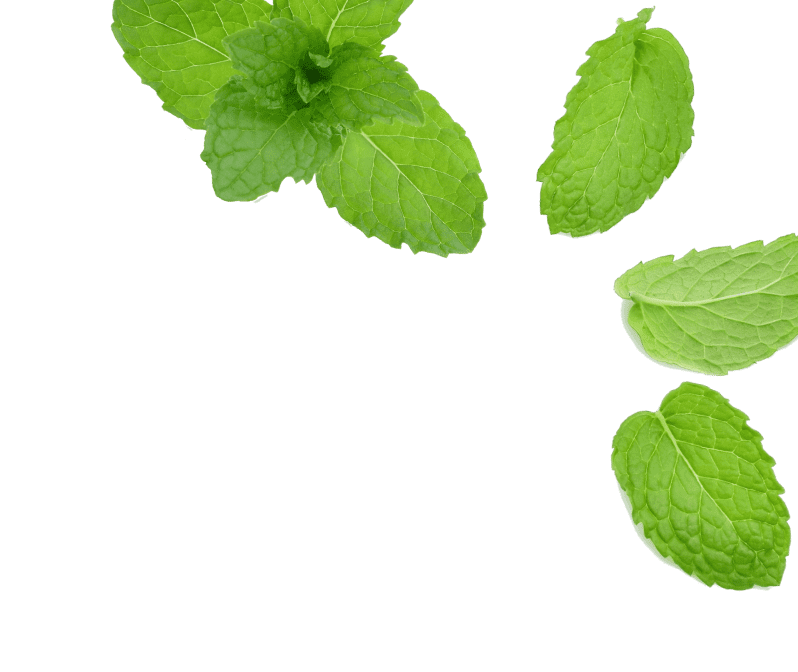 Peppermint leaves